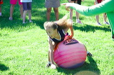 coolidge_fieldday128