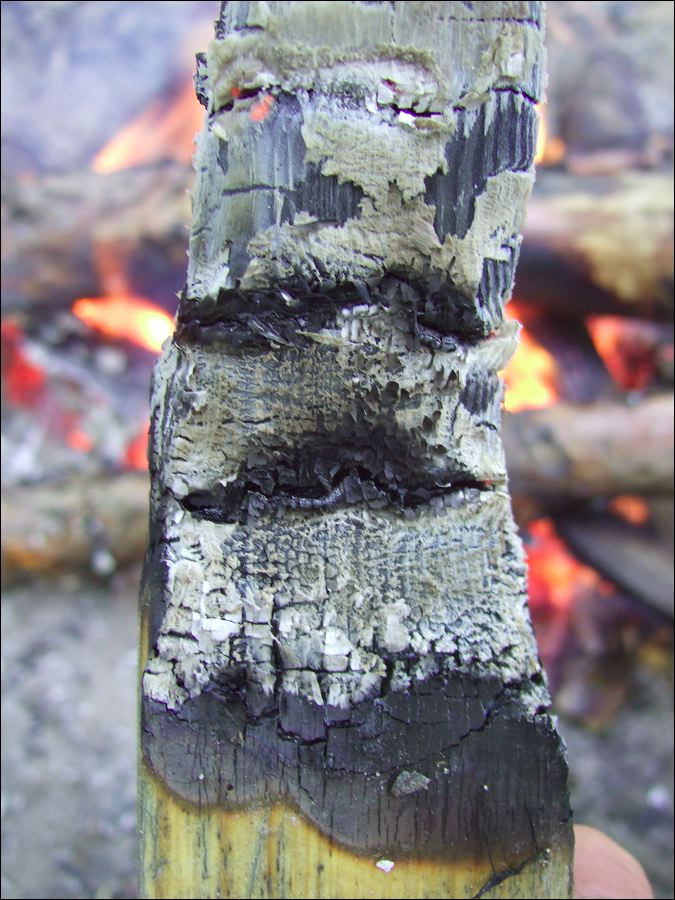 dscf8334.jpg